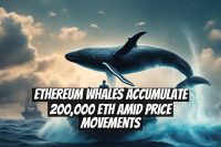 Ethereum Whales Accumulate 200,000 ETH Amid Price Movements
