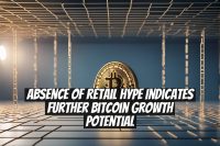 Absence of Retail Hype Indicates Further Bitcoin Growth Potential
