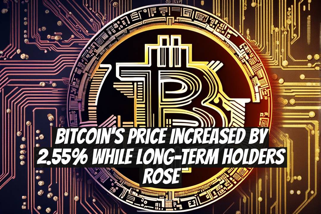 Bitcoin's Price Increased by 2.55% While Long-Term Holders Rose