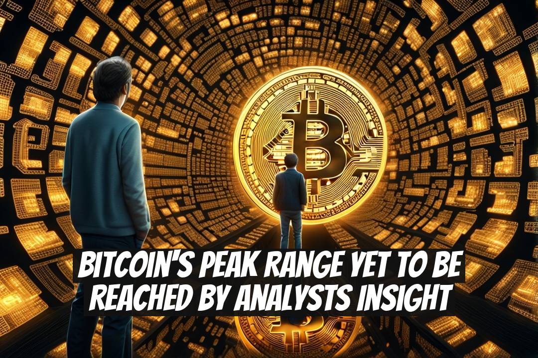 Bitcoin's Peak Range Yet to Be Reached by Analysts Insight