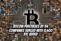Bitcoin Purchases by 54 Companies Surged with 8,400 BTC Added