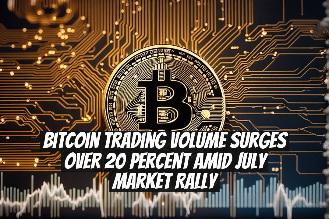 Bitcoin Trading Volume Surges Over 20 Percent Amid July Market Rally