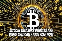 Bitcoin Treasury Vehicles Are Being Critically Analyzed Now