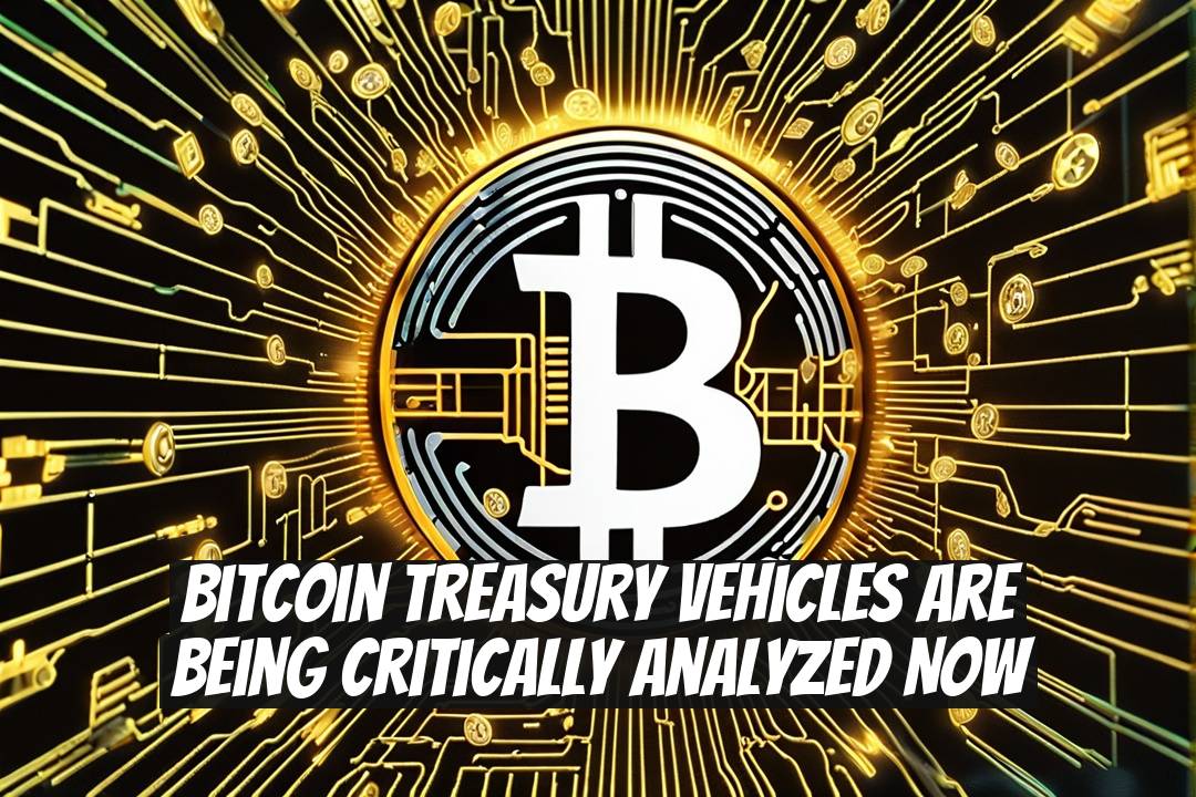 Bitcoin Treasury Vehicles Are Being Critically Analyzed Now