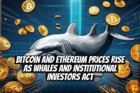Bitcoin and Ethereum Prices Rise as Whales and Institutional Investors Act