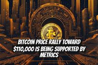 Bitcoin Price Rally Toward $110,000 Is Being Supported by Metrics
