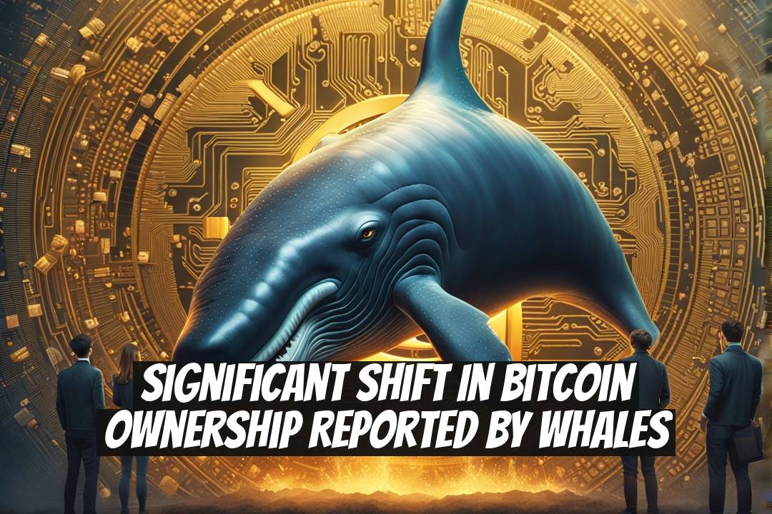 Significant Shift in Bitcoin Ownership Reported by Whales