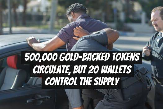 500,000 Gold-Backed Tokens Circulate, but 20 Wallets Control the Supply