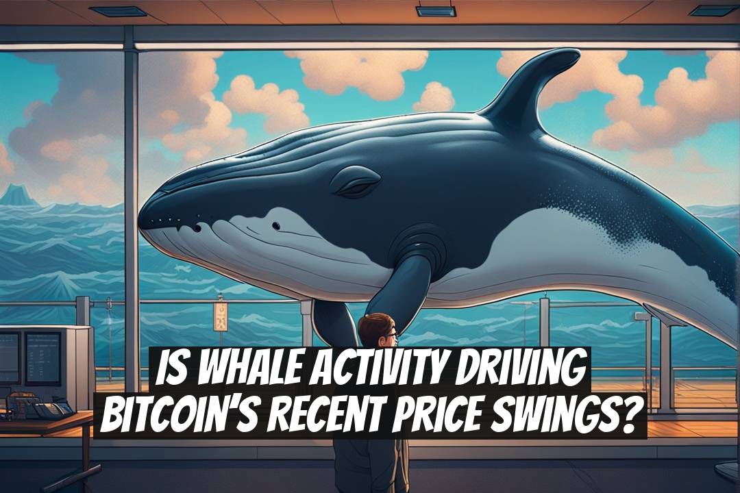 Is Whale Activity Driving Bitcoin’s Recent Price Swings?