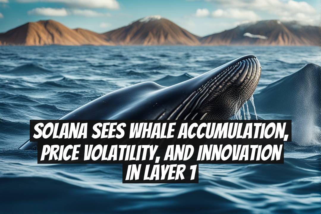 Solana Sees Whale Accumulation, Price Volatility, and Innovation in Layer 1