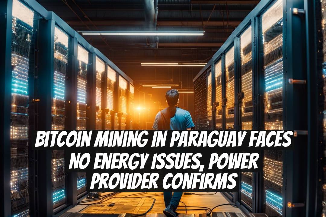 Bitcoin Mining in Paraguay Faces No Energy Issues, Power Provider Confirms