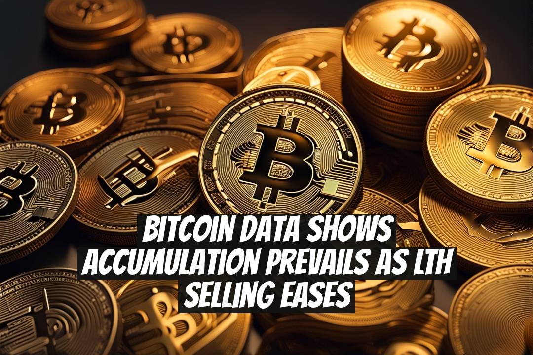 Bitcoin Data Shows Accumulation Prevails as LTH Selling Eases
