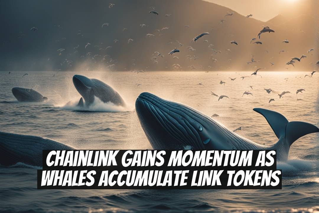 Chainlink Gains Momentum as Whales Accumulate LINK Tokens