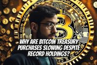 Why Are Bitcoin Treasury Purchases Slowing Despite Record Holdings?