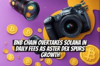 BNB Chain Overtakes Solana in Daily Fees as Aster DEX Spurs Growth