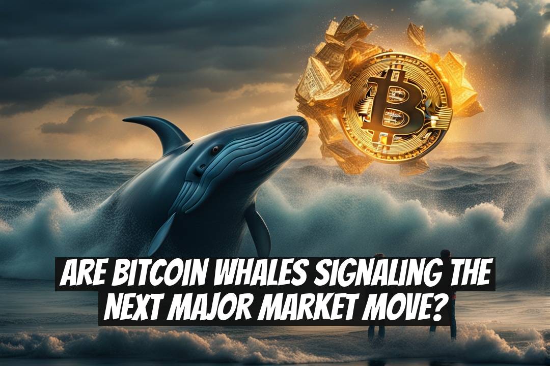 Are Bitcoin Whales Signaling the Next Major Market Move?