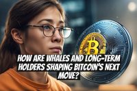 How Are Whales and Long-Term Holders Shaping Bitcoin’s Next Move?