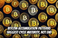 Bitcoin Accumulation Patterns Suggest Cycle Maturity, Not End