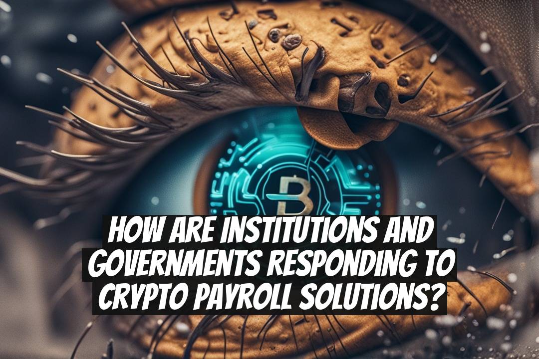 How Are Institutions and Governments Responding to Crypto Payroll Solutions?