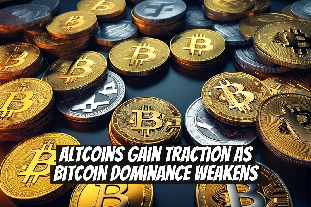 Altcoins Gain Traction as Bitcoin Dominance Weakens