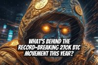 What’s Behind the Record-Breaking 270K BTC Movement This Year?