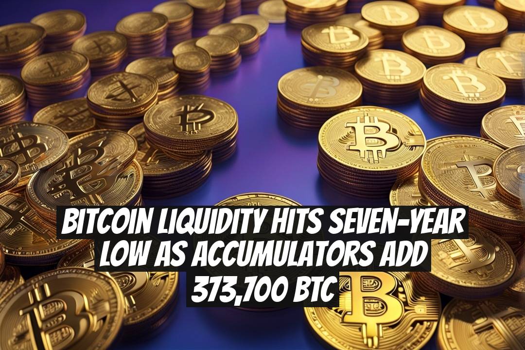 Bitcoin Liquidity Hits Seven-Year Low as Accumulators Add 373,700 BTC