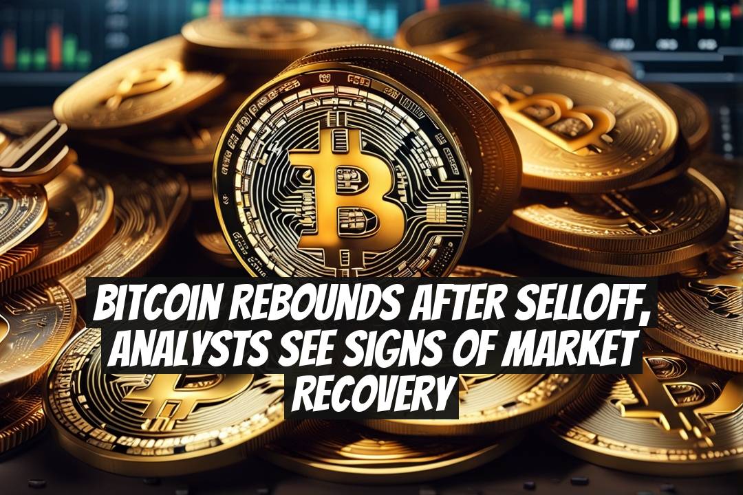 Bitcoin Rebounds After Selloff, Analysts See Signs of Market Recovery