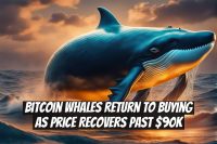 Bitcoin Whales Return to Buying as Price Recovers Past $90K
