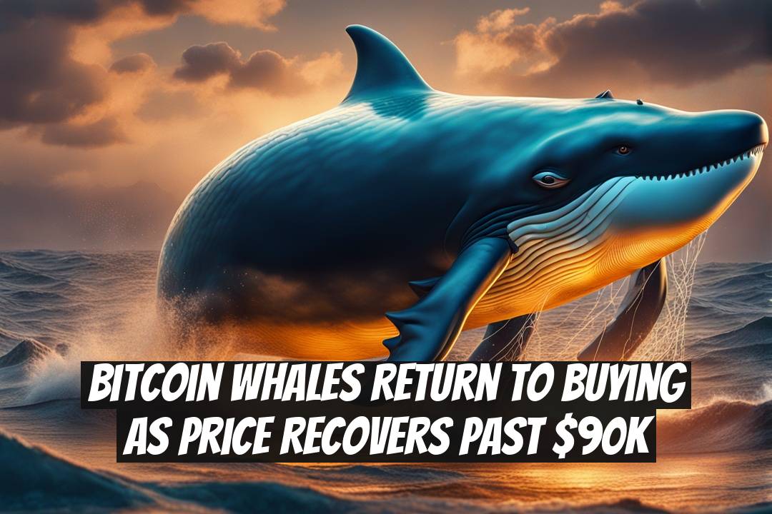 Bitcoin Whales Return to Buying as Price Recovers Past $90K