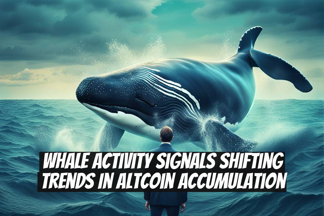 Whale Activity Signals Shifting Trends in Altcoin Accumulation