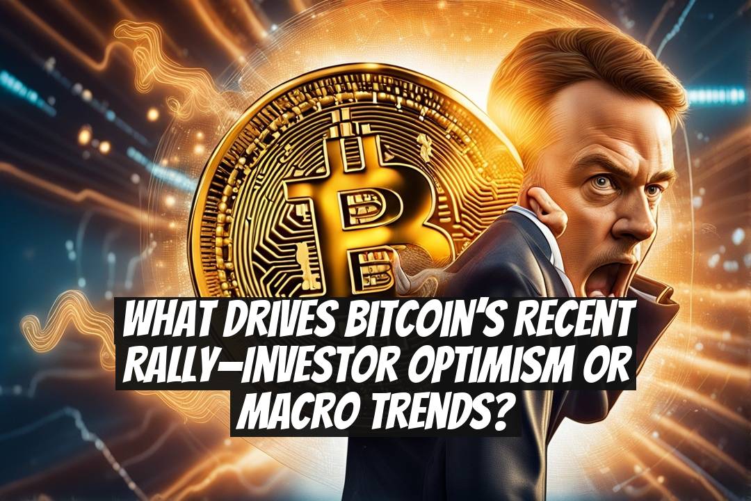 What Drives Bitcoin’s Recent Rally—Investor Optimism or Macro Trends?