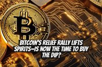 Bitcoin’s relief rally lifts spirits—Is now the time to buy the dip?