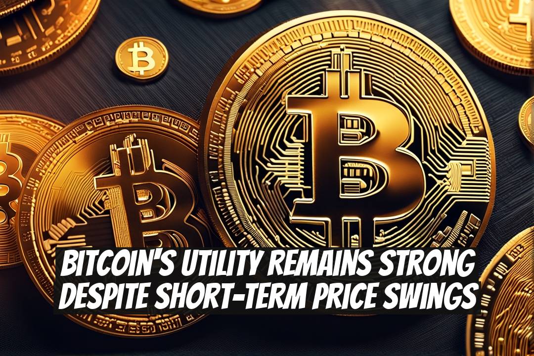 Bitcoin's Utility Remains Strong Despite Short-Term Price Swings