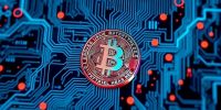 Crypto Scams and Security Risks Rise: How Users Can Stay Protected