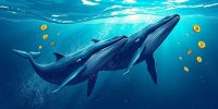 How Do Whales Influence Liquidity in Crypto Markets?