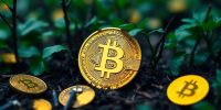 How Tax-Loss Harvesting Shapes Bitcoin’s Year-End Price Action