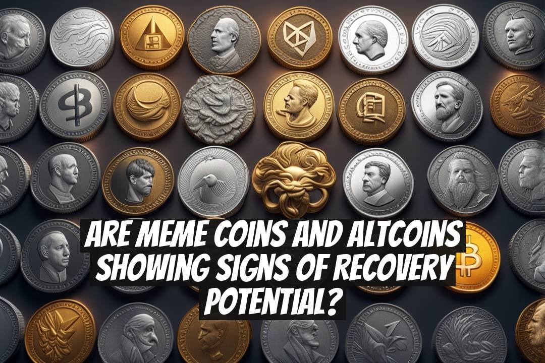 Are Meme Coins and Altcoins Showing Signs of Recovery Potential?