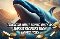 Ethereum Whale Buying Rises as Market Recovers From Liquidations