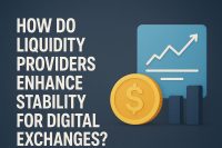 How Do Liquidity Providers Enhance Stability for Digital Exchanges?