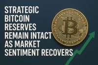 Strategic Bitcoin Reserves Remain Intact as Market Sentiment Recovers
