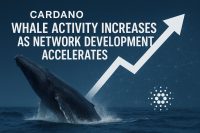 Cardano Whale Activity Increases as Network Development Accelerates
