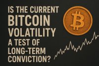 Is the Current Bitcoin Volatility a Test of Long-Term Conviction?