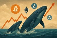 Whales Show Confidence in Altcoins Following Recent Market Volatility