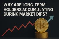 Why are long-term holders accumulating during market dips?