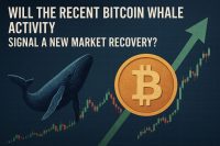 Will the recent Bitcoin whale activity signal a new market recovery?