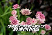 Coinbase custodies major BTC and ETH ETFs growth