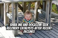 Shiba Inu and Dogecoin seek recovery catalysts after recent declines