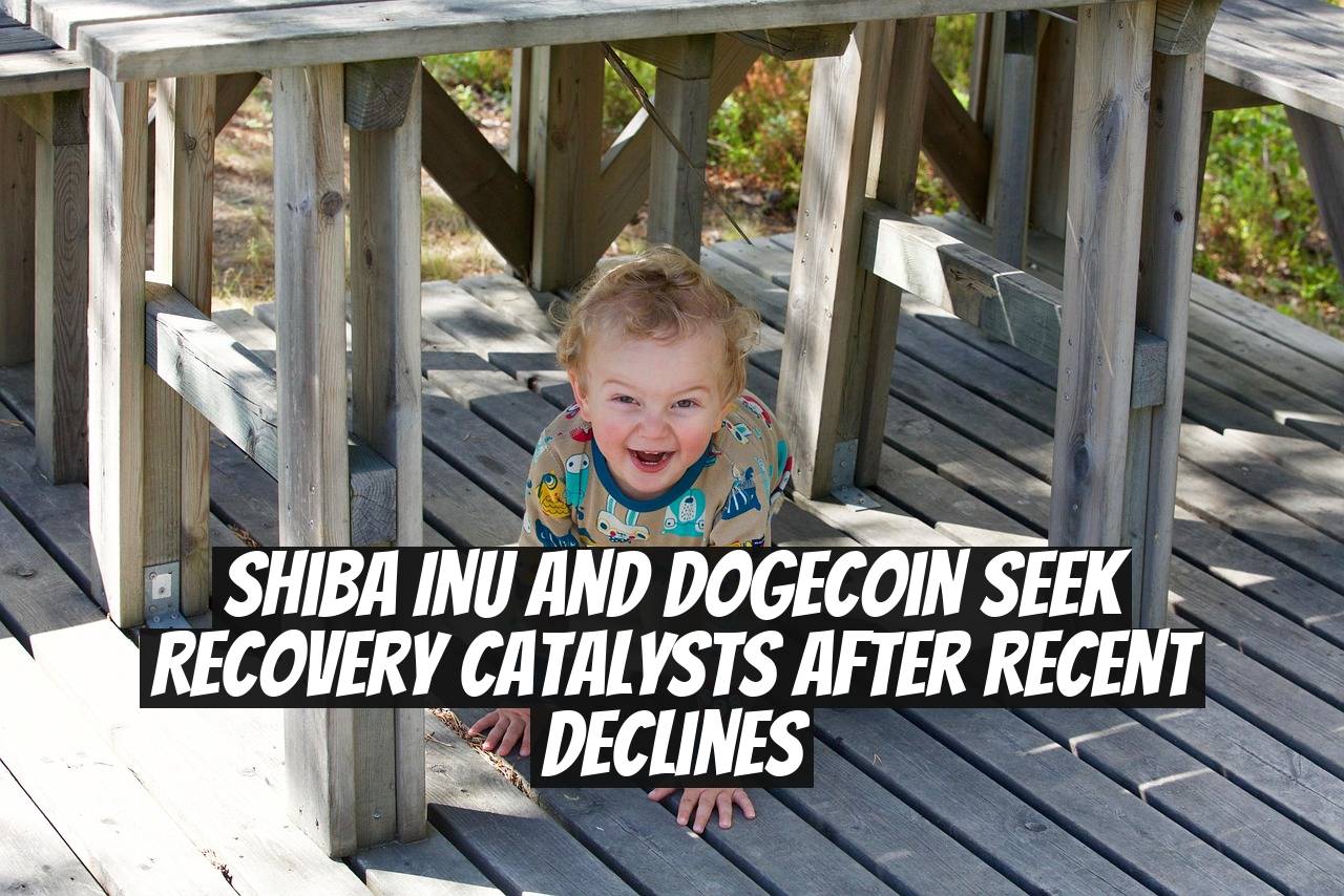 Shiba Inu and Dogecoin seek recovery catalysts after recent declines