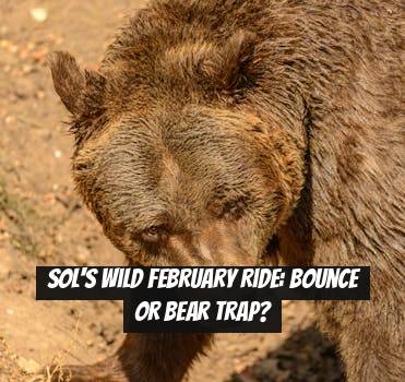 SOL's Wild February Ride: Bounce or Bear Trap?