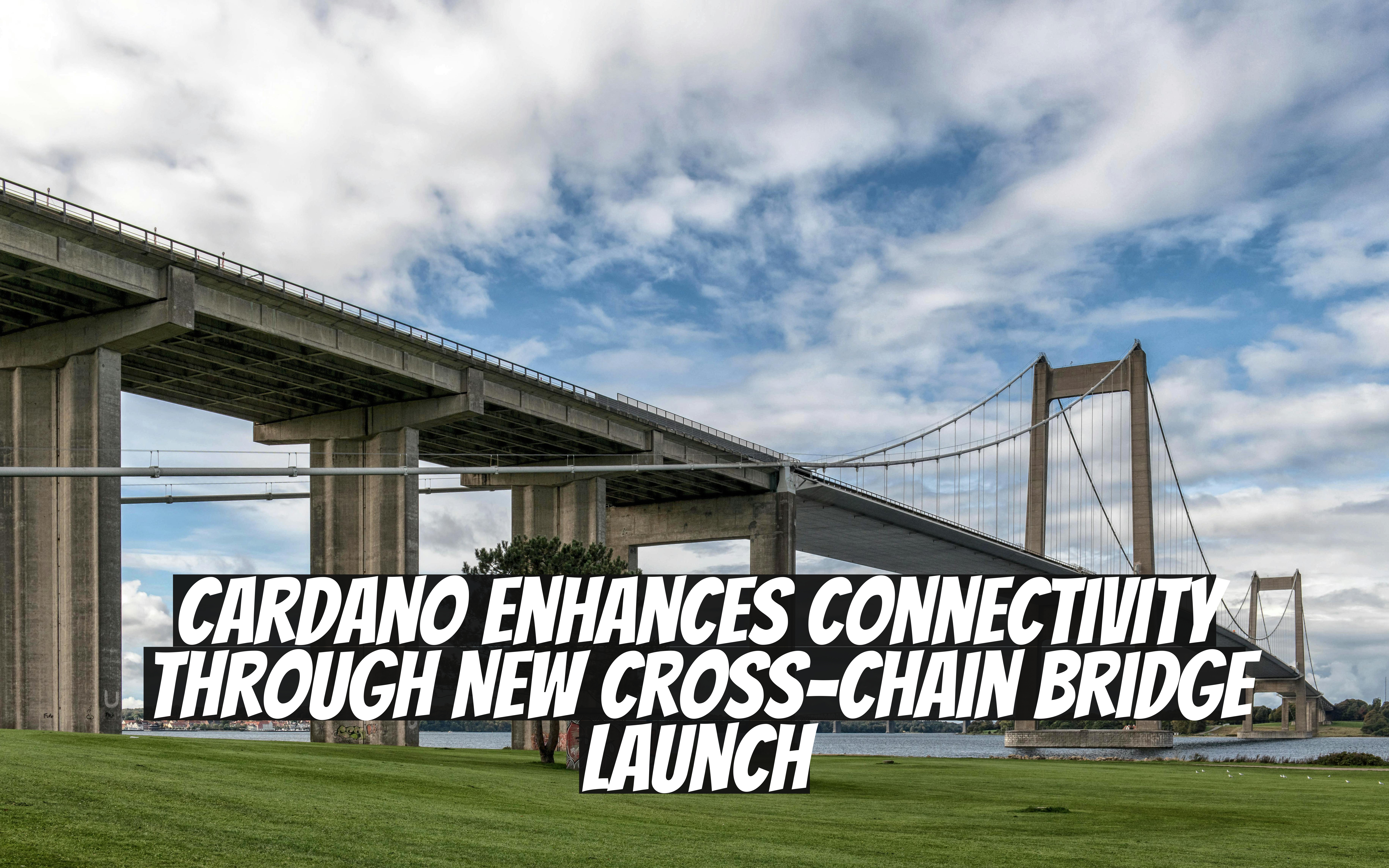 Cardano Enhances Connectivity Through New Cross-Chain Bridge Launch